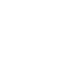 Tree Illustration